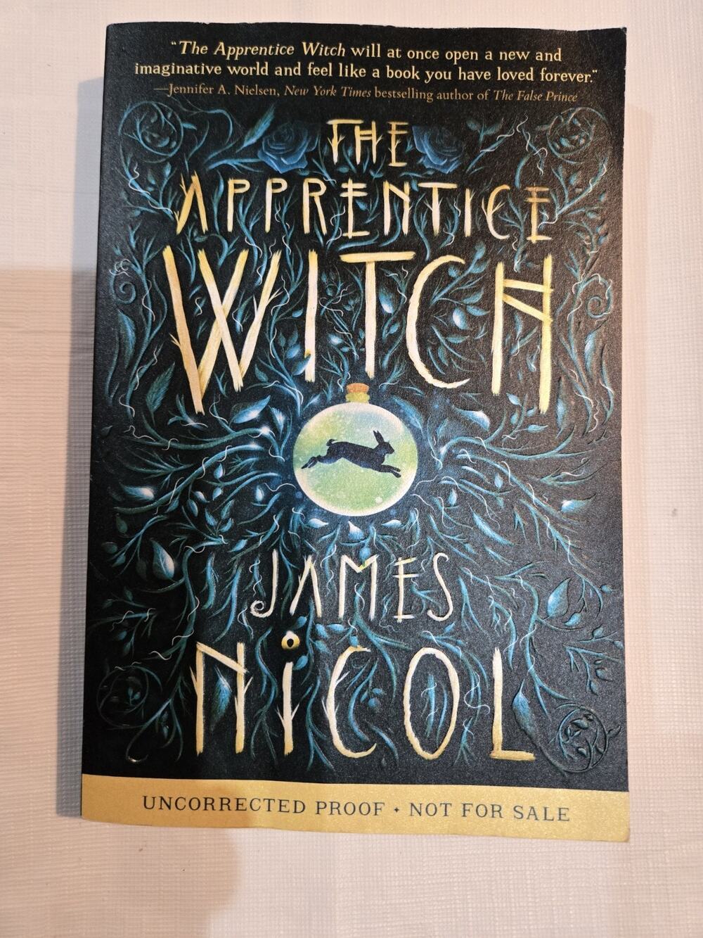 The Apprentice Witch James Nicol Paperback Children’s Book Nice